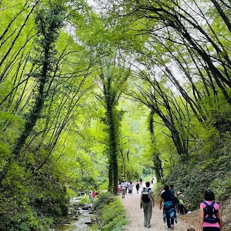 Colle Muzia E Oda ve Kahvaltı Múccia Vallicchio