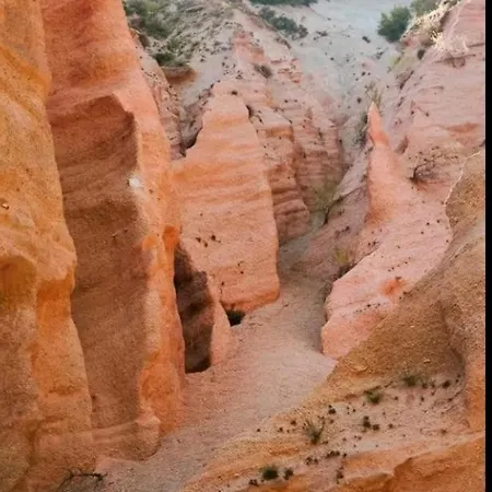 Oda ve Kahvaltı Colle Muzia E