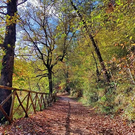 Colle Muzia E Oda ve Kahvaltı 3*